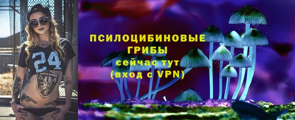 шишки Бронницы